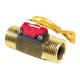 Flow Switch for liquid flow detection + TRIAC for AC load control